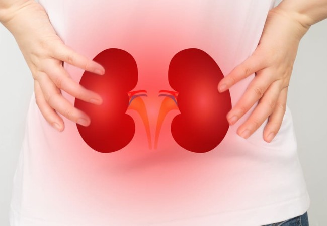 kidney-failure-causes-and-prevention