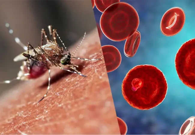 Monsoon disease prevention